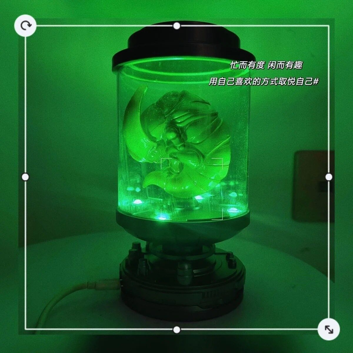 Figurine Incubateur Dragon Ball Z – Image 4